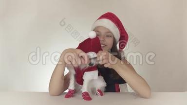 美丽的少女和狗，穿着圣诞老人服装的美洲玩具斯帕尼尔·帕皮隆，欢快地亲吻和愚弄
